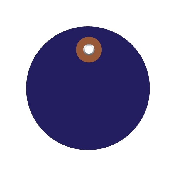 Bsc Preferred 2'' Blue Plastic Circle Tags, 100PK BUY00019774 - main